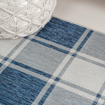 Sabine Traditional Farmhouse Bold Gingham Area Rug